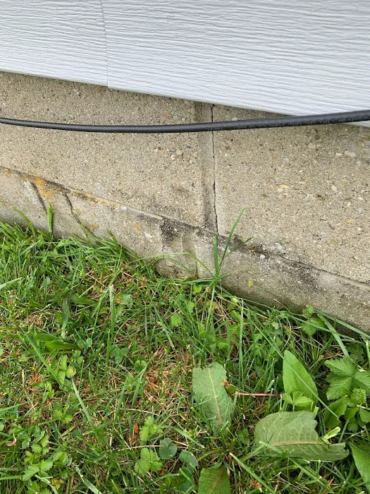 Spires Pest Control & Construction Picture 2