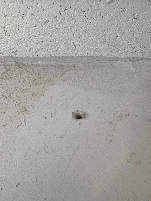 Spires Pest Control & Construction Picture 1