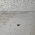 Spires Pest Control & Construction