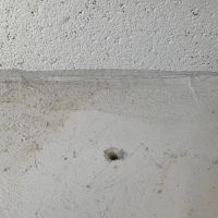 Spires Pest Control & Construction ico