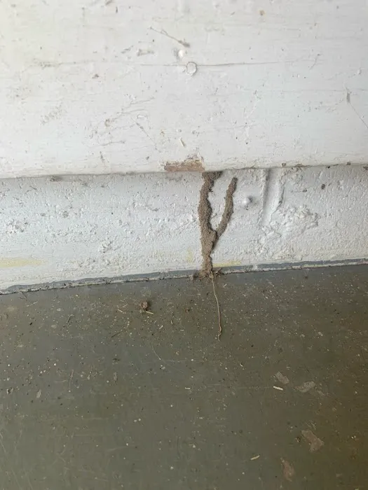 Spires Pest Control & Construction Picture 8