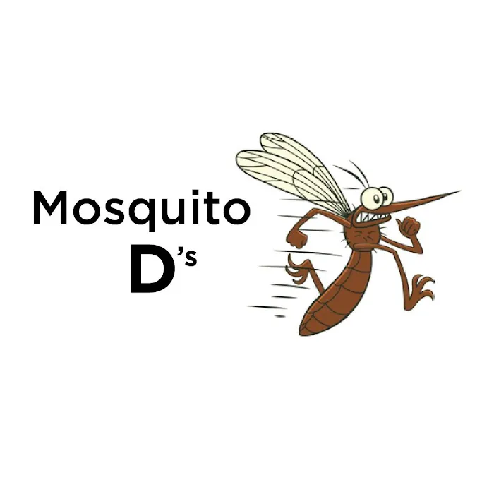 Mosquito D’s Picture 1