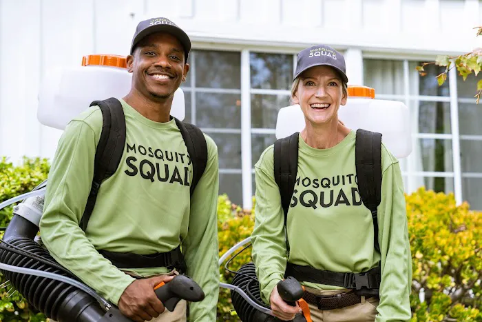 Mosquito Squad of the Triad Picture 4