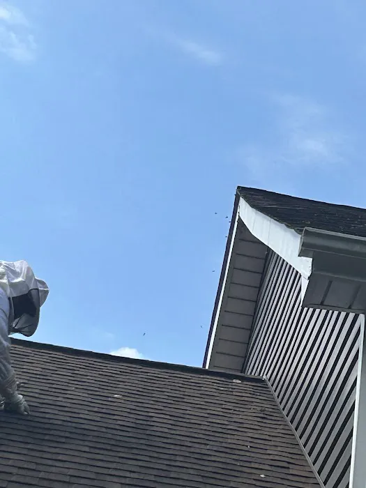 Ray's Pest Control and Wildlife Removal Picture 5