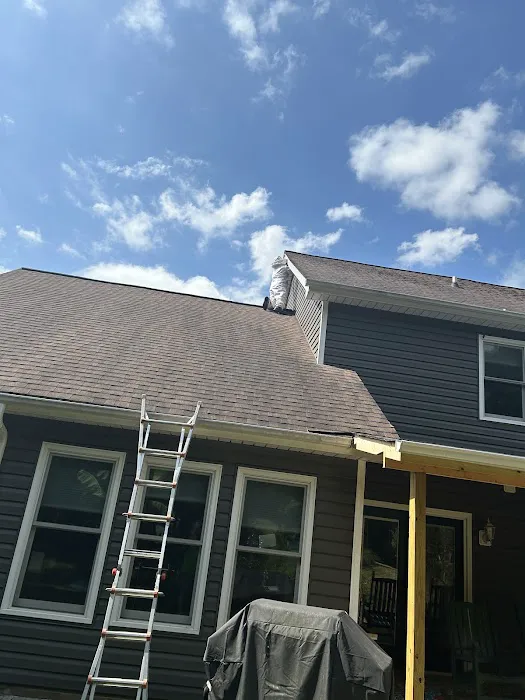Ray's Pest Control and Wildlife Removal Picture 1