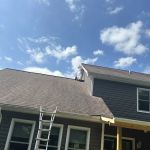 Ray's Pest Control and Wildlife Removal