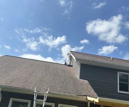 Ray's Pest Control and Wildlife Removal