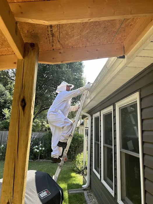 Ray's Pest Control and Wildlife Removal Picture 6