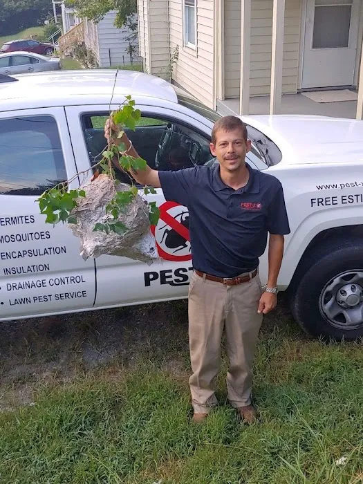 Pest-X Exterminating Picture 6
