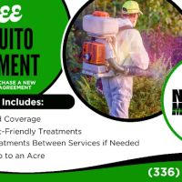 No Mosquitoes ico