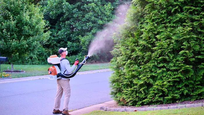 T.Y.'s Mosquito Control Picture 8