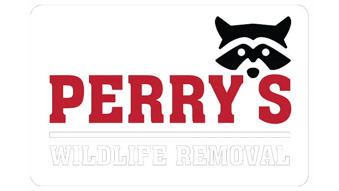 Perry's Wildlife Removal Picture 1