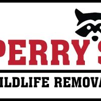 Perry's Wildlife Removal ico