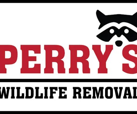 Perry's Wildlife Removal