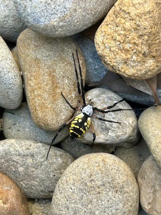 ClearDefense Pest Control Picture 10