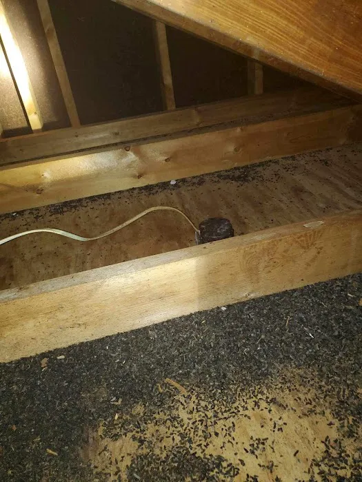 Faircloth Chimney Sweeps and Wildlife Removal LLC Picture 8