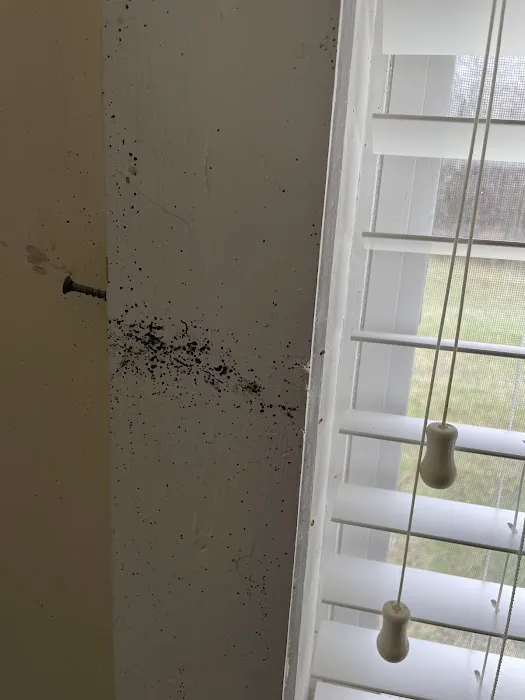 Eco Bed Bug Greensboro Picture 9