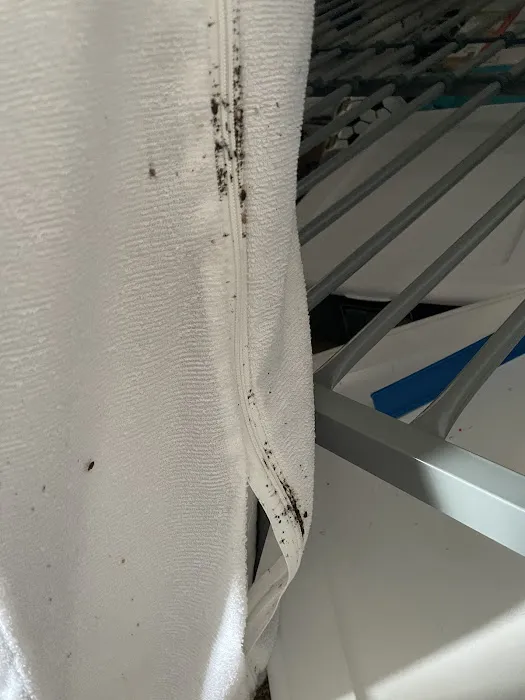 Eco Bed Bug Greensboro Picture 7