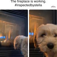 Home Spectors Inspection Services ico