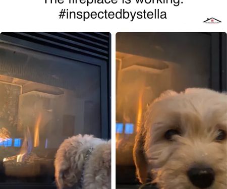 Home Spectors Inspection Services