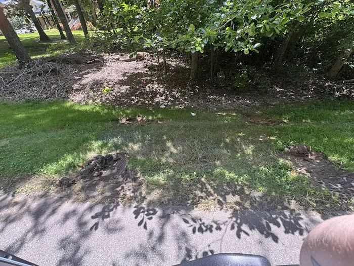 Eco Masters Pest Control Picture 6