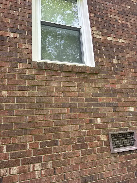 Eco Masters Pest Control Picture 5