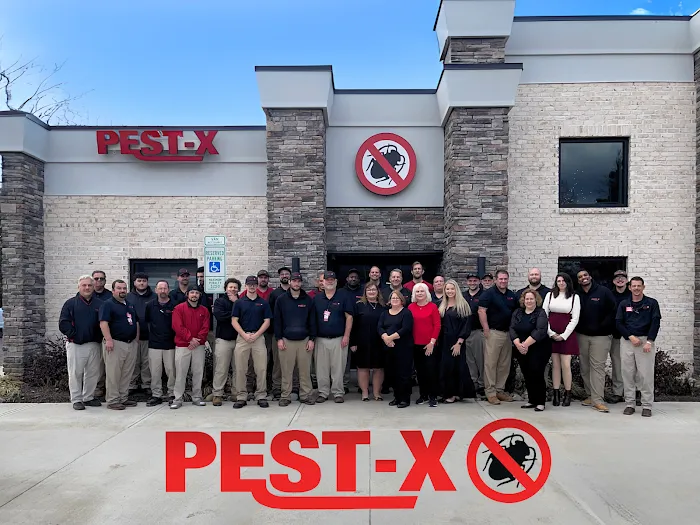 Pest-X Exterminating Picture 7