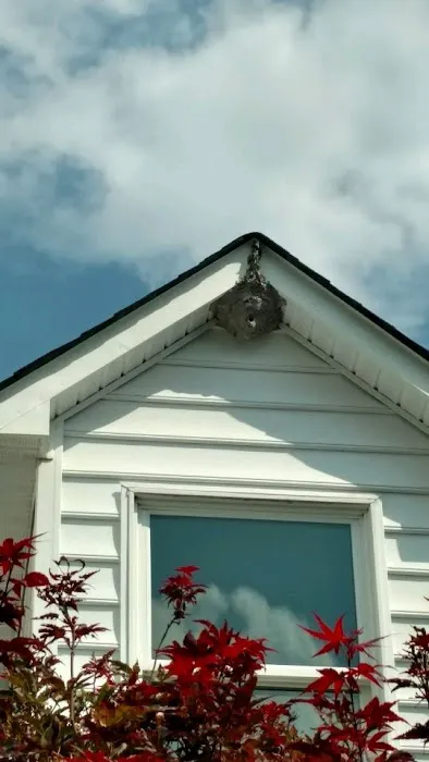 Pest-X Exterminating Picture 3