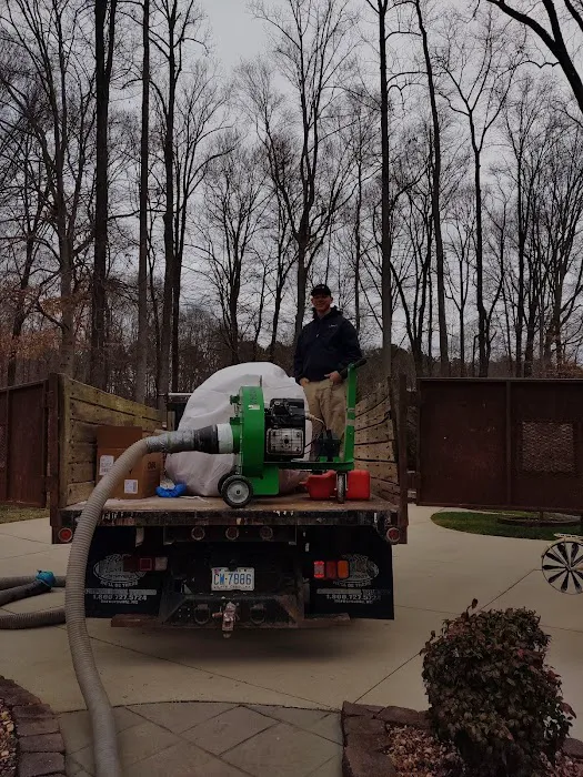 Pest-X Exterminating Picture 6