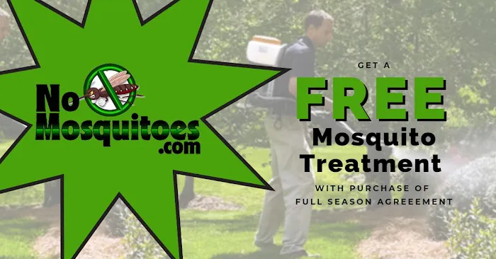 No Mosquitoes Picture 2