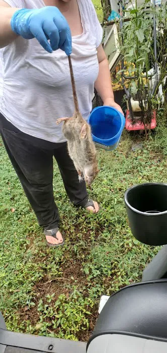Go-Forth Pest Control Picture 8