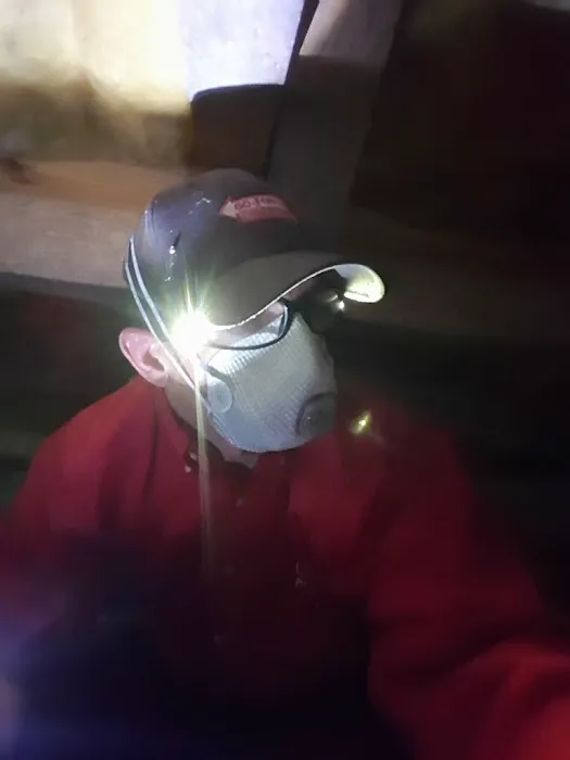 Go-Forth Pest Control Picture 5