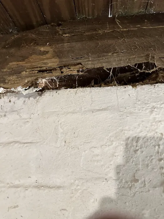 The Dead Pest Society Picture 1