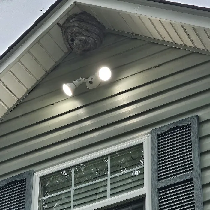 Clegg’s Termite & Pest Control - Kernersville Picture 3