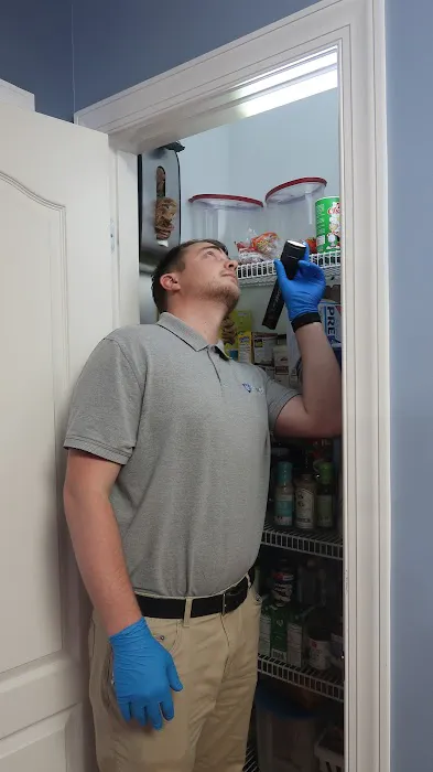 The Best Pest Control Solutions Picture 2