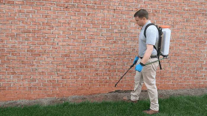 The Best Pest Control Solutions Picture 1