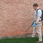 The Best Pest Control Solutions