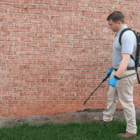 The Best Pest Control Solutions ico