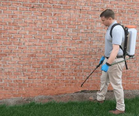 The Best Pest Control Solutions