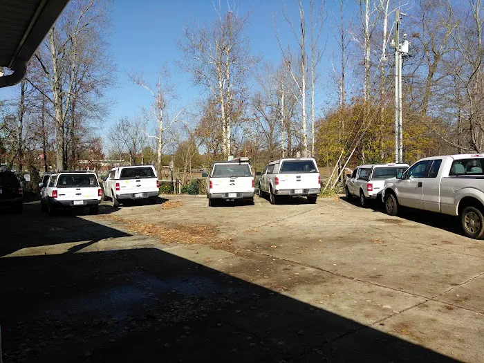 Brown Pest Control Picture 8