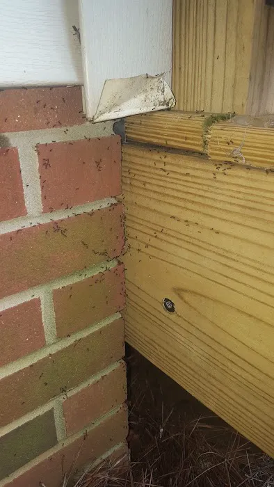 Truly Nolen Pest & Termite Control - Winston Salem Picture 10