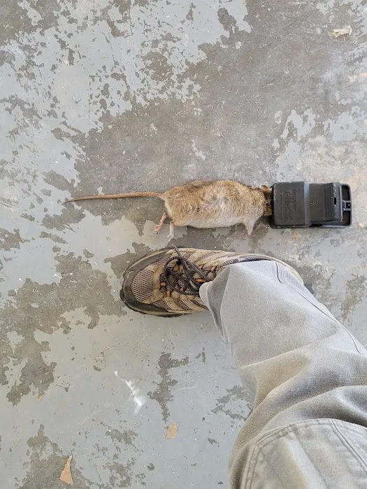 Truly Nolen Pest & Termite Control - Winston Salem Picture 1