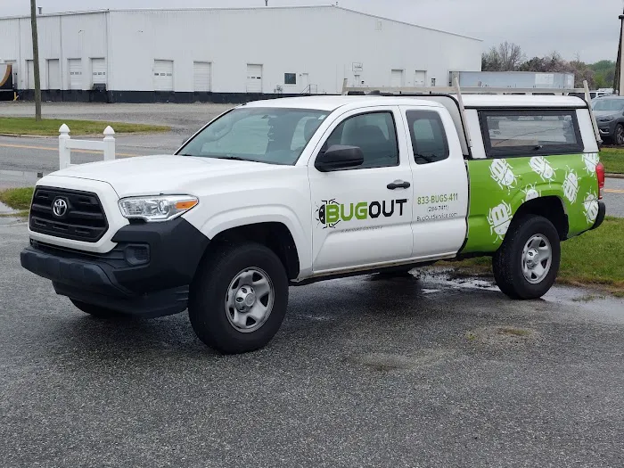 Bug Out Picture 2