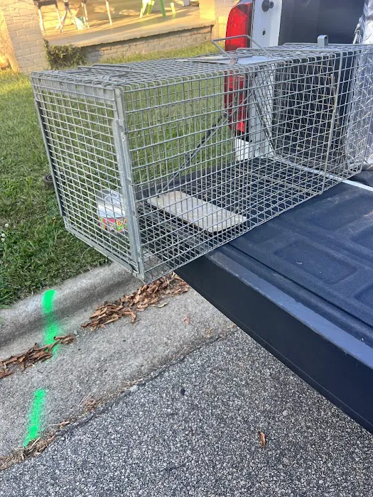 North Star Pest Solutions , Inc . Picture 4