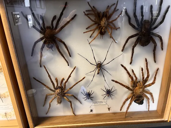 North Star Pest Solutions , Inc . Picture 2