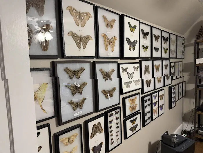 North Star Pest Solutions , Inc . Picture 10
