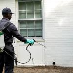 Hawx Pest Control