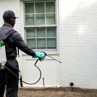 Hawx Pest Control ico
