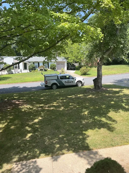Hawx Pest Control Picture 9