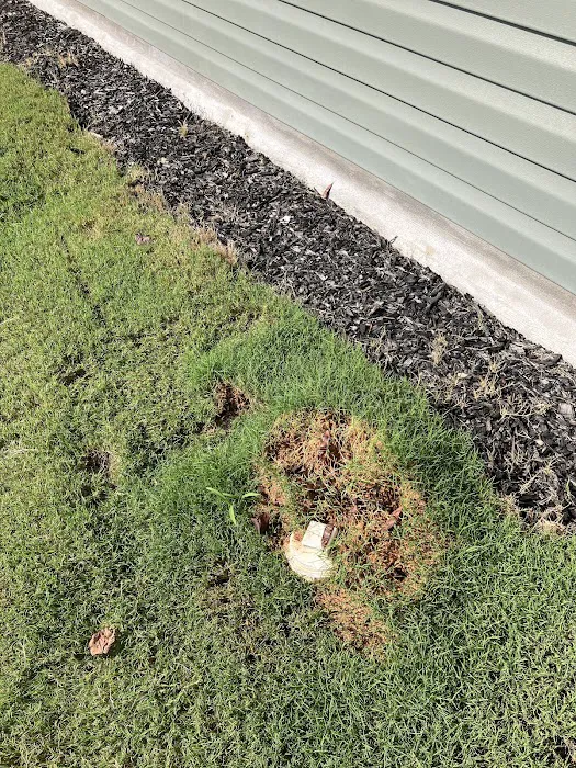 Kind Pest Control Picture 7
